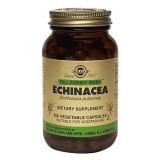 Solgar Ехінацея екстракт, Echinacea Herb, 100 капсул (SOL03870)