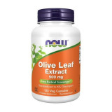 Экстракт из листьев оливкового дерева Now Foods Olive Leaf Extract 500 mg (120 капс) нау фудс
