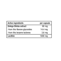 Ginkgo Biloba + Lecithin 90 капсул