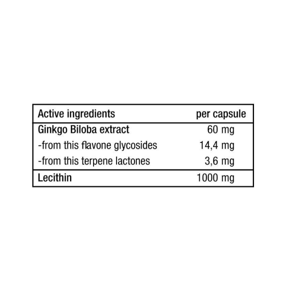 Ginkgo Biloba + Lecithin 90 капсул Ginkgo Biloba + Lecithin 90 капсул