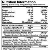 BCAA 9.7 (1044 г)