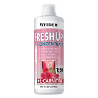 Fresh Up Concentrate 1 L