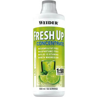Fresh Up Concentrate 1 L