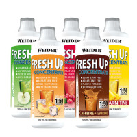 Fresh Up Concentrate 1 L
