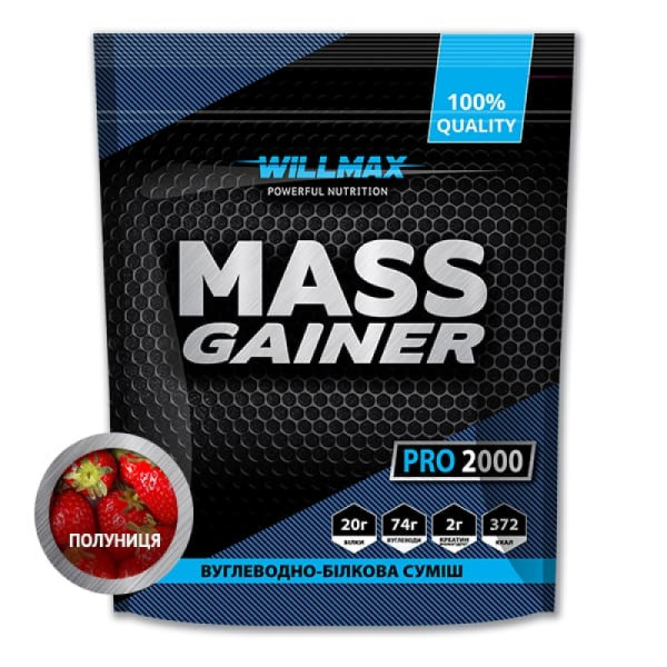 Гейнер Willmax - Mass Gainer 2000g