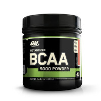 BCAA 5000 powder (380 грам)