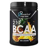 Amino BCAA 2:1:1 (500 грамм)