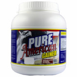 Pure American Gainer (2,2 кг)