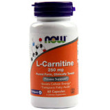 L-Carnitine 250 mg (60 капсули) L-Carnitine 250 mg (60 капсули)
