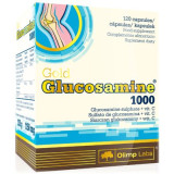 Gold Glucosamine 1000 (120 капсул) Gold Glucosamine 1000 (120 капсул)