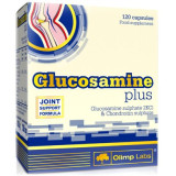 Glucosamine Plus (60 капсул) Glucosamine Plus (60 капсул)