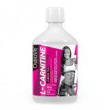 L- Carnitine+Green Tea (500 мл) L- Carnitine+Green Tea (500 мл)