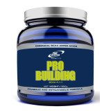 Pro Building BCAA 4:1:1 (500 гр)
