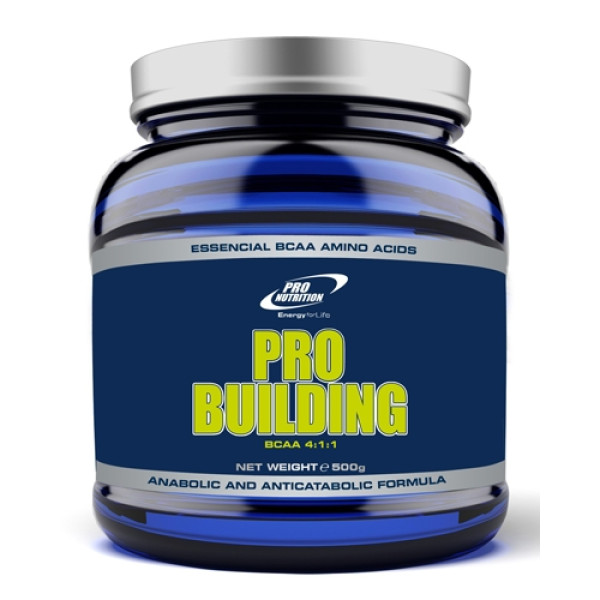 Pro Building BCAA 4:1:1 (500 гр)