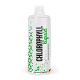 Активне довголіття MST Liquid Chlorophyll 1 літр зі смаком ментолу