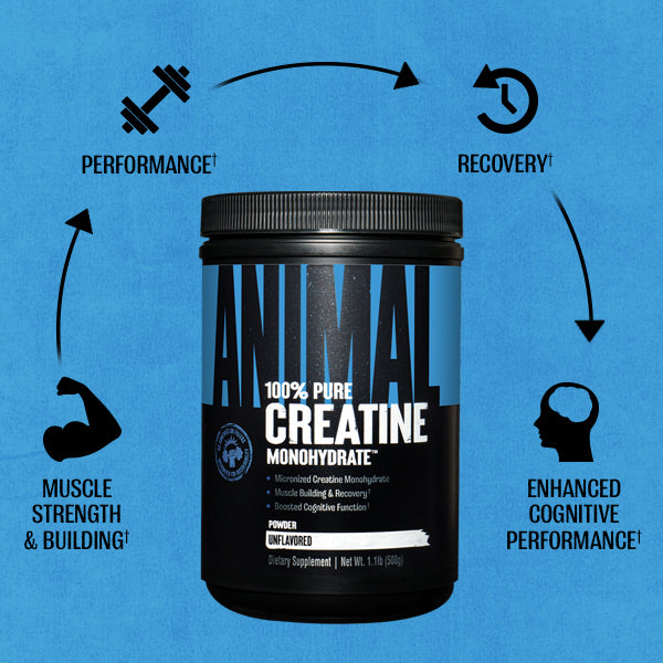 Креатин моногидрат Universal Nutrition Animal Micronized Creatine, 1000 грамм