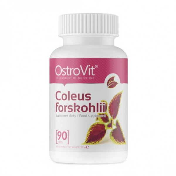 Coleus forskohlii (90 таблетс)