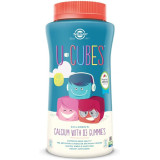 Жевательный кальций с Д3 для детей, U-Cubes, Children's Calcium With D3, Solgar,120 кубиков Жевательный кальций с Д3 для детей, U-Cubes, Children's Calcium With D3, Solgar,120 кубиков