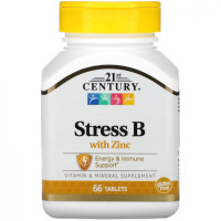 Вітаміни та мінерали 21st Century Stress B with Zinc, 66 таблеток