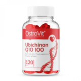 UBICHINON Q10 100 (120 таблетс)
