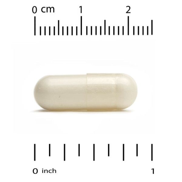 Глюкозамин, Хондроитин, МСМ и Гиалуроновая кислота (Glucosamine Chondroitin, MSM plus Hyaluronic Acid), California Gold Nutrition, 60 капсул