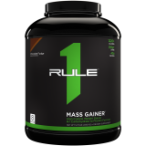 R1 LBS (2.75 кг)