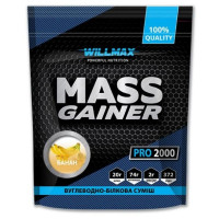 Гейнер Willmax - Mass Gainer 2000g